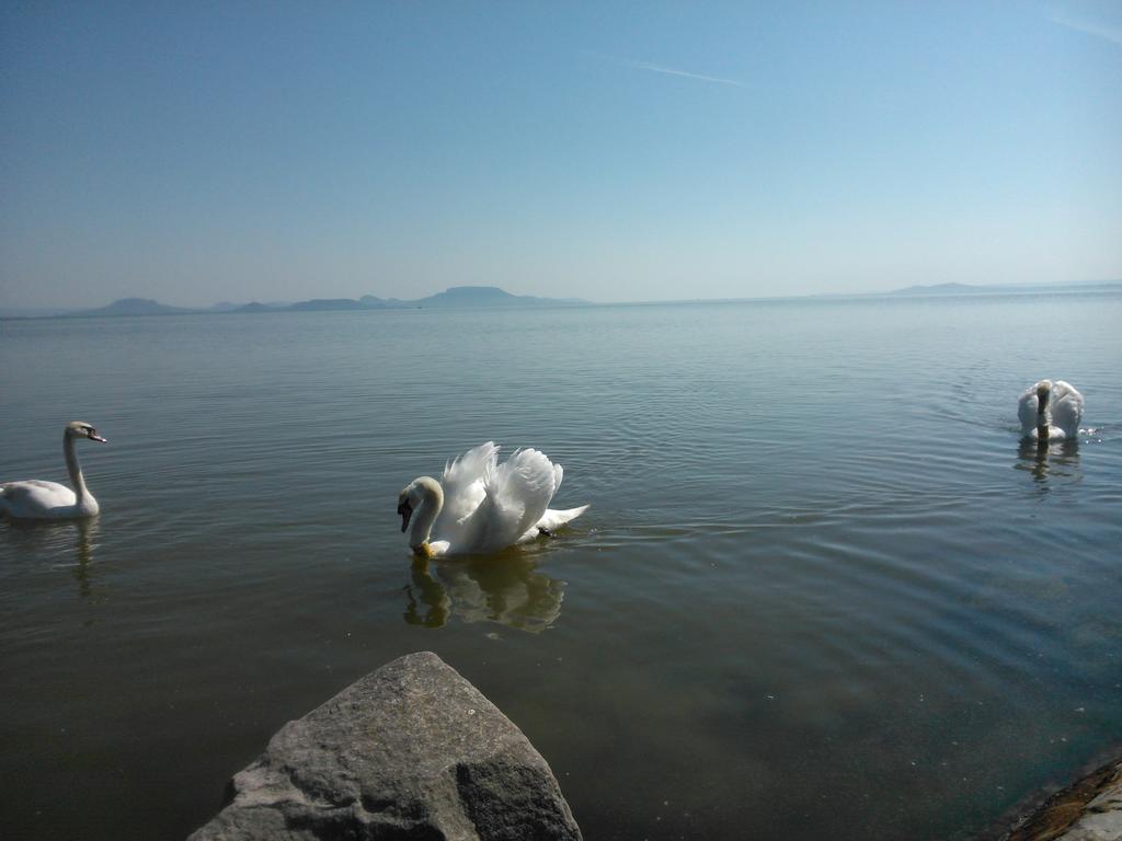 Angela Haz Apartment Balatonbereny Ruang foto